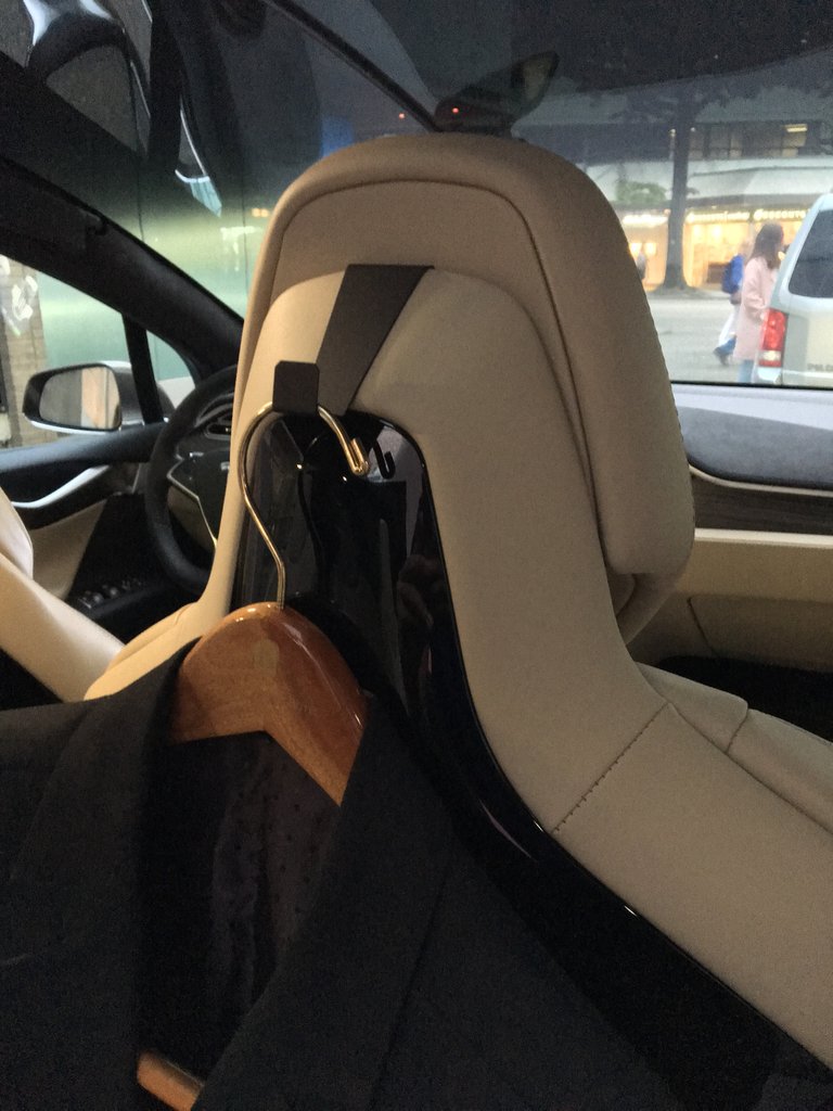 Tesla best sale coat hooks